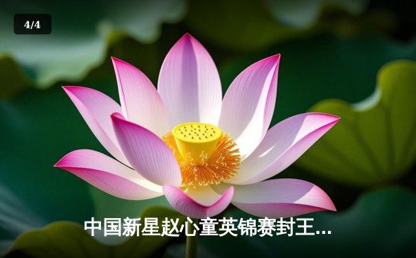 中国新星赵心童英锦赛封王，轰147满分杆创历史 - 4